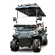 Fyd-Gl-E4+2 6 Seats off-Road Tire Hunting Electric Golf Car Blue with AC Motor