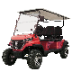 OEM Brand & Lt; 20% 20units/40hq 3units/Crate China Gas Golf Carts Cart