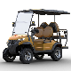 3-4 Buggy/Golf Carts OEM Brand Guangdong Yatian Industrial Electric Golf Cart