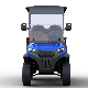  & Lt; 20% & Gt; 30 Km/H OEM Brand 20units/40hq Shanghai Dachi Golf Cart