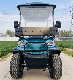  Utility Cart Gasoline Trolley Cart Brand Cheap Price Club Car Buggy off-Road Golf Carts Golf Buggy Golf Club