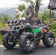 Gasoline 4WD/2WD 4X4 All Terrain Vehicle ATV 400cc 500cc 570cc 600cc 800cc Motor Quad