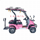  2/4 Seats New Design Factory Wholesale Price CE Approved Adult Battery Operated 60V800W Mini Electric Vehicle