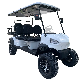  in Stock 6 Seater Electric Battery Golf Cart for Holiday Village