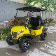 5kw Motor off Road New Design 4 Seater Electric Lifted Golf Carts