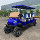 China Manufacturer Offroad Customized 6 Seats Lifted Electric Golf Cart