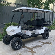 6 Seats Electric Lead Acid Battery Golf Buggy for Hunting