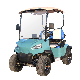 New Design 3.5-5kw Motor 2 Seater Electric Golf Cart