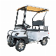  Fashion Cool 4-Wheel Electric Car Golf Cart Factory Price
