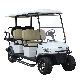  Marshell Factory Price 6 Seater Electric Hunting Golf Cart (DH-M4+2)