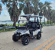 China Supplier Golf Cart Custom 2 4 6 Seater Mobility Scooter Golf Car Utility Vehicles manufacturer