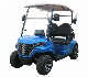 2-Seats Electric Vehicle Lento Brand Appearance Beautiful Golf Cart manufacturer