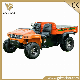  Durable off Road All-Terrian UTV Electric Utility Vehicle