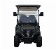 Dachi High Performance Customized Golf Buggy Electric Forge G4+2 Golf Cart Lithium Battery