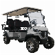 Factory Price Dachi 48V China Mini Golf Cart Golf Buggy Forge H4+2