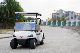  Wuling Stylish Faster 48V Battery 2 Seats Mini Buggy Smart Electric Golf Carts for Golf Course