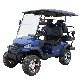  Factory Outlet 4 6 Person Seat Lithium Battery Folding Electric Golf Carts with CE Certificate Custom Electric Golf Carts