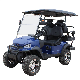 Factory Outlet 4 6 Person Seat Lithium Battery Folding Electric Golf Carts with CE Certificate Custom Electric Golf Carts