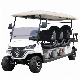 High Performance Lithium Battery Forge G6+2 Customized Electric Golf Cart Golf Buggy