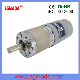  3.3-13W DC Gear Motor for Electric Car Equipment