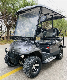  Battery Powered Mini Golf Buggy Club Custom Electric Golf Cart Car