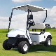 Custom Motorised 4 Wheel Sport Buggy New 2 People Single Passenger Ride Hunting Buggies Small Golf Cart Buggy Electric Mini Car with Large Storage Space