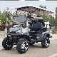 Free Color Custom 2+2 Seat Club Cart Electric Golf Buggy Hunting Car with Parts manufacturer