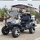 Free Color Custom 2+2 Seat Club Cart Electric Golf Buggy Hunting Car with Parts