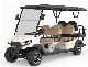  Electric Golf Cart New Design Custom 6 Parssenger Sightseeing Car