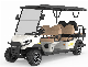 Electric Golf Cart New Design Custom 6 Parssenger Sightseeing Car