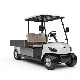 Utility Vehicle Custom Golf Cart Electric Utility Golf Car with Two Seats (DG-M2 + Cargo box)