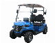 Electric Golf Cart Dachi China Golf Buggy Lithium Battery Golf Car Forge G2