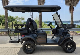 Guangdong Electric Vehicle 2+2 Best Electric Golf Carts manufacturer