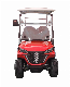 EEC Approved Dachi Iron Rack 2850*1200*1900 China Golf Buggy Electric Vehicle