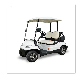  2 Seater High Quality Battery Operated Golf Course Blue Red White Golf Car