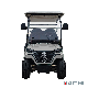  Lithium Battery Electric Golf Cart 4+2 Seater Forge G4+2 Golf Car