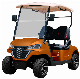 Nice Battery Operated Golf Carts Mini Electric Golf Cart 25km/H Max Speed Sightseeing Car for Personal Use