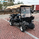  New Design Motorised 2+2 Seater Buggy Golf Cart Car with 48V Golf Buggy Battery Charger