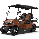 Street Legal Brand New Hot Sale Farm Utility Lead-Acid Golf Cart 4 Seater 5kw Lithium Battery Buggy Golf Car Electric Golf Carts