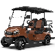  Street Legal Brand New Hot Sale Farm Utility Lead-Acid Golf Cart 4 Seater 5kw Lithium Battery Buggy Golf Car Electric Golf Carts