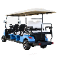 8 Seat Lithium Electricity/Lead-Acid Batterie Operated Electric Golf Cart