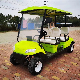 Customers Special Producing Pure Electric EV Golf Cart