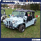  Top Covered Gel Battery Electric Mini Moke Car for Island Like Mauritius