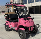  Chinese 48V 4 Wheel 2 Seater Golf Carts Electric Golf Cart for Golf Course