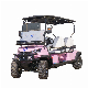 Hot Sale Fashion 4 6 Seaters Resort Use Utility Vehicle Hunting Hopper Cargo Golf Buggy Cart Electric Golf Carts