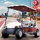 Wholesale Gulf Carts Mini Small Electric Pink Golf Cart for Park manufacturer