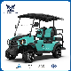  Luxurious Street Legal Lithium Battery 4 Seater Electric Golf Cart for Sale
