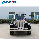 Factory Prices Electric Classic Sightseeing Vintage Car for Hotel Resort