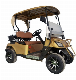  2 Seat Electric Lifted off Road Buggy Golf Cart