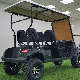  Electric Battery Carts for Wheel 2 Seater Lithium Kit with Wheels Cover 36V Ion 48 Volt Commercial Kids Large 3 Mini Golf Cart